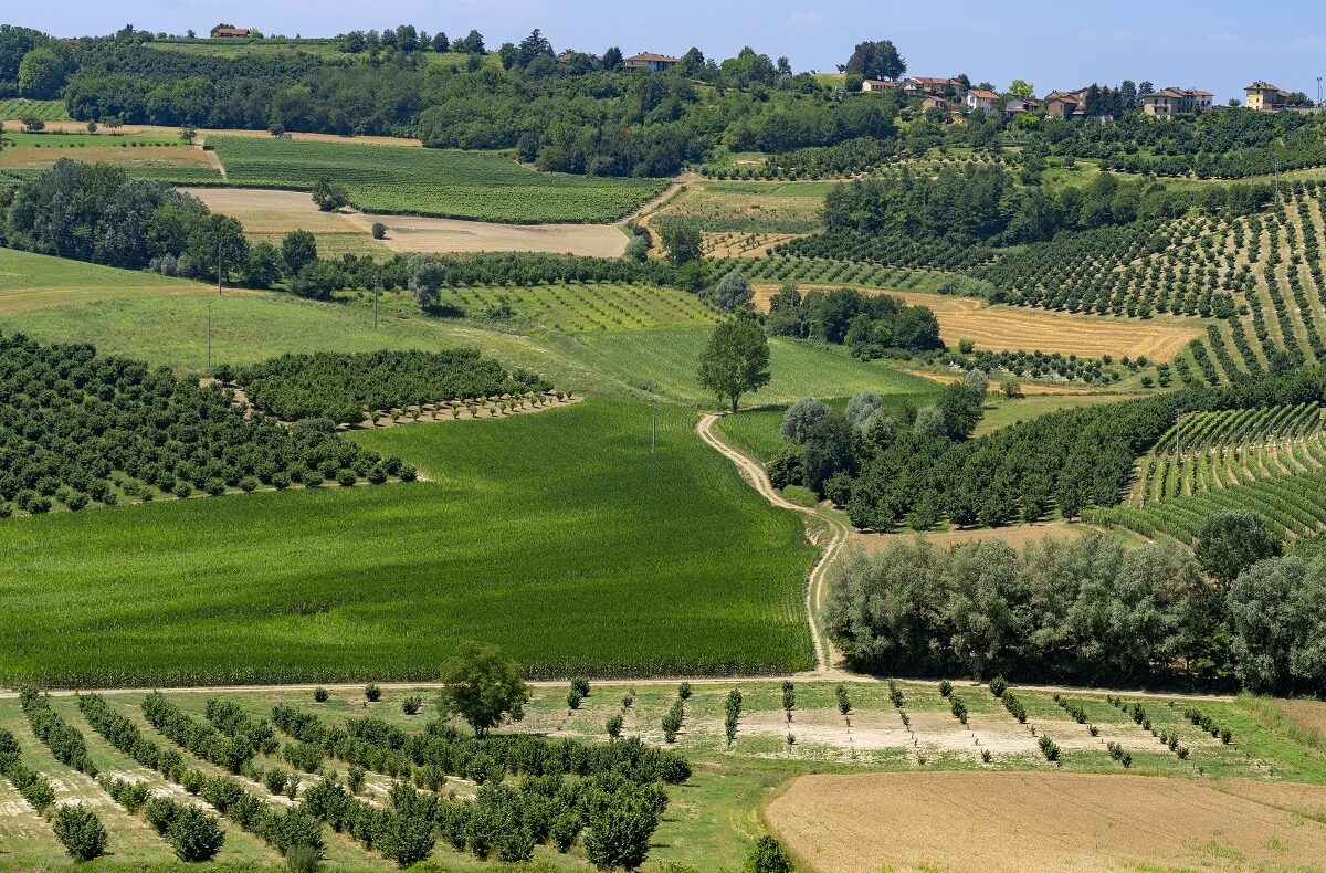 Italiani che comprano la seconda casa nel Monferrato: profili e motivazioni