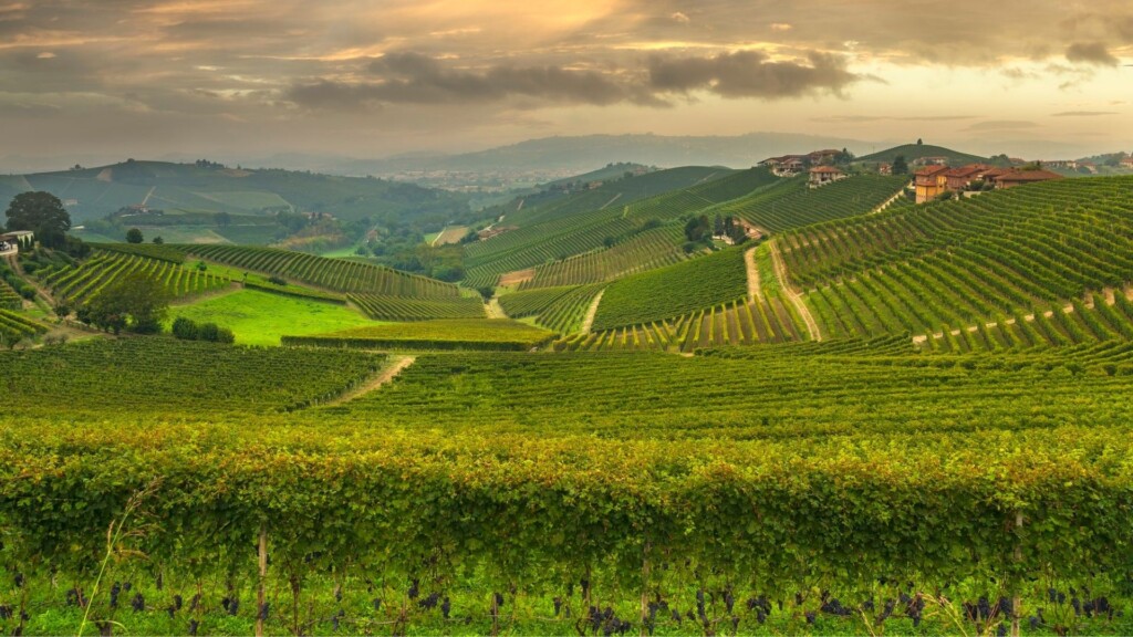 Langhe, Roero e Monferrato: un solo orizzonte