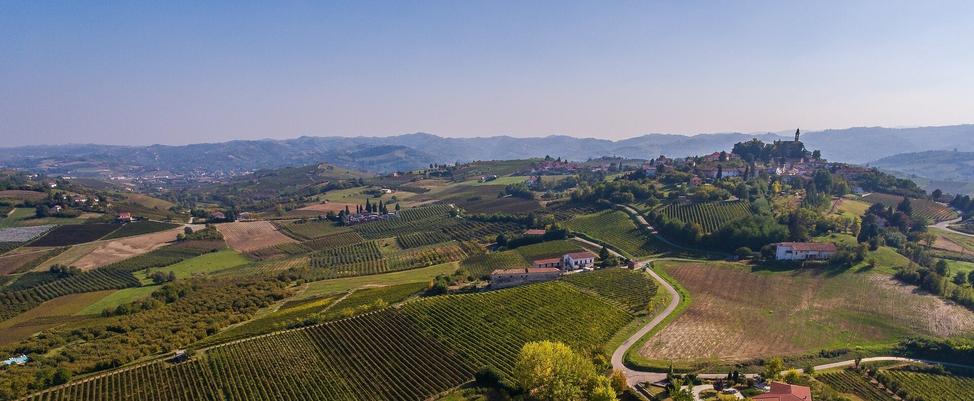 Truffle Season in Monferrato: The Complete Guide