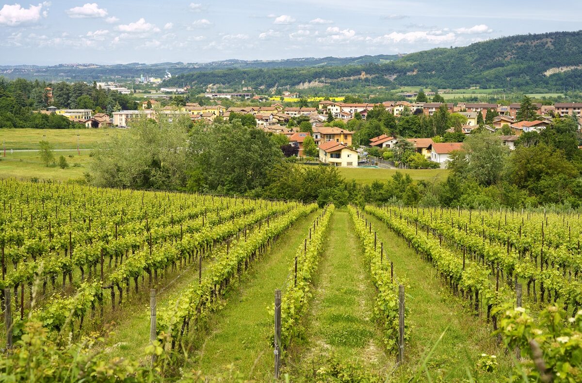 Monferrato Astigiano vs Alessandrino: differenze e mercato immobiliare