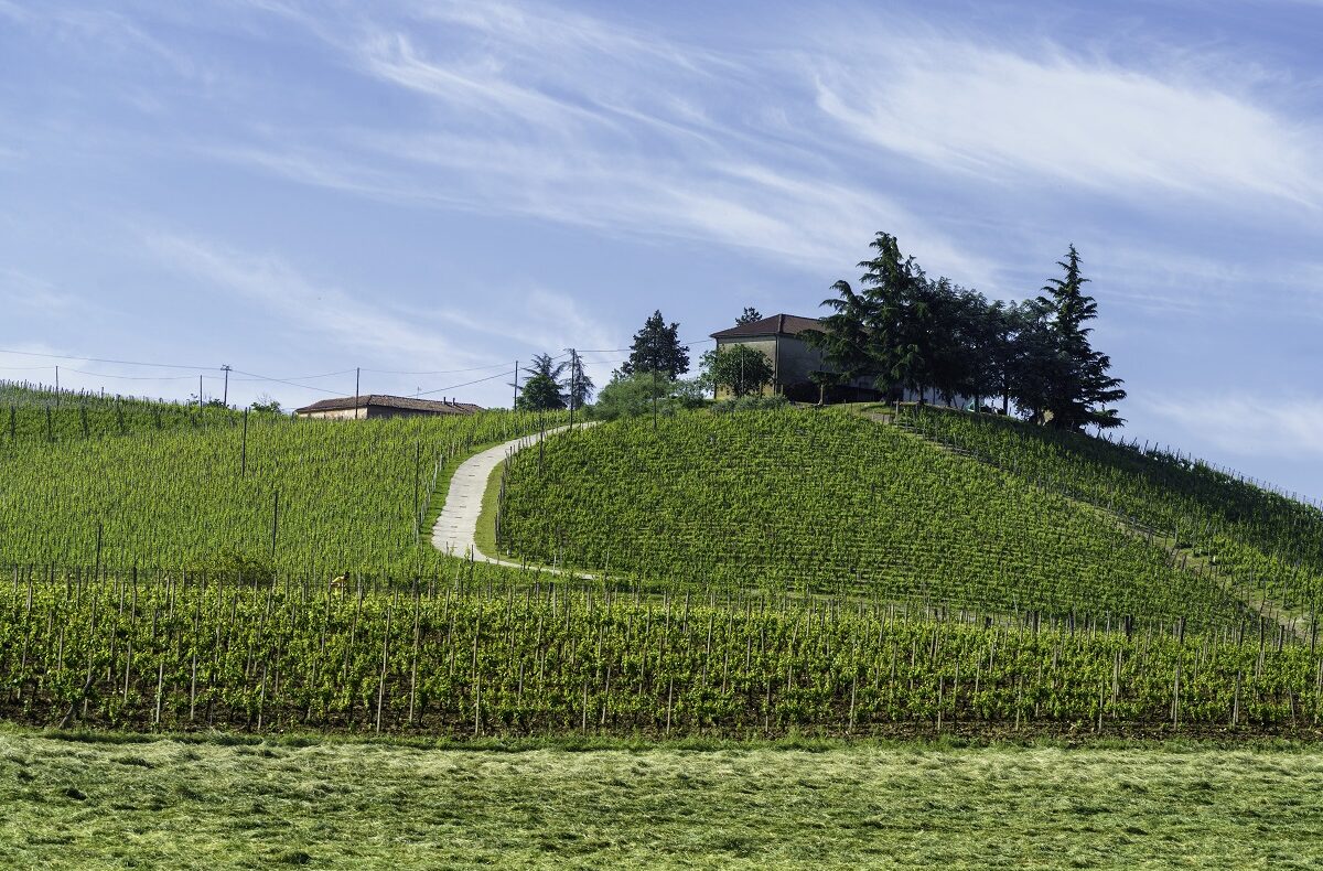 Cucina piemontese nel Monferrato: i piatti e i prodotti da conoscere