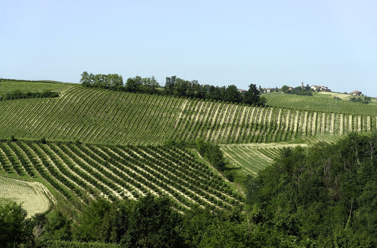 Case a Bruno e Denice: il Monferrato meridionale al confine con le Langhe