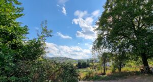 Vasta cascina in posizione piacevole, a poca distanza dal paese