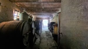 Vasta cascina in posizione piacevole, a poca distanza dal paese