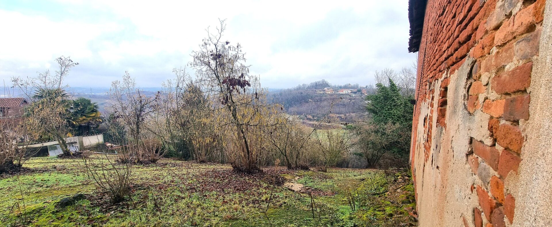 Acquistare terreno agricolo nel Monferrato: guida pratica 2026