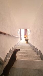 Casa in ottime condizioni con terreno e giardino
