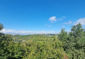 Casa in ottime condizioni con terreno e giardino