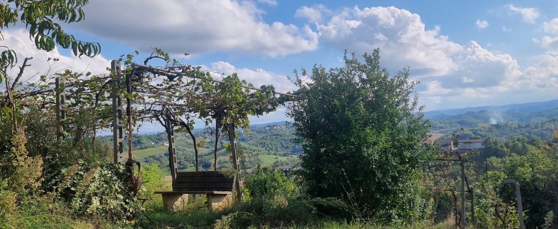 Donare un immobile ai figli in Piemonte: vantaggi, rischi e alternatiive