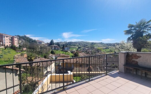 Piedmont Wine Regions for Property Buyers: Barolo, Barbaresco, Barbera Compared
