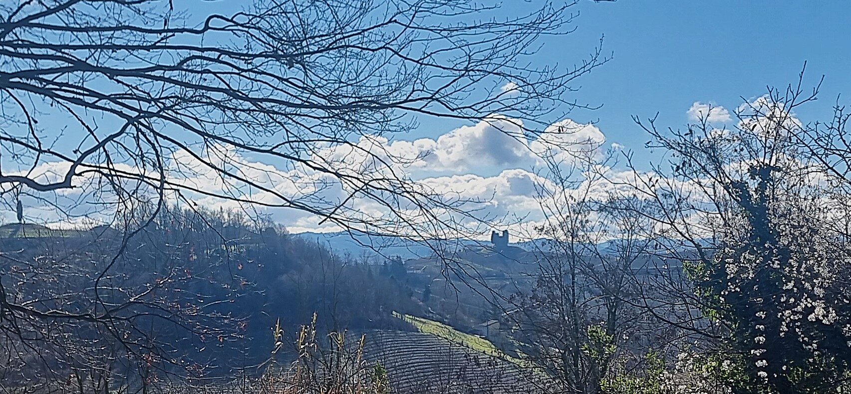 Affitti a lungo termine nel Monferrato: mercato, prezzi e opportunità
