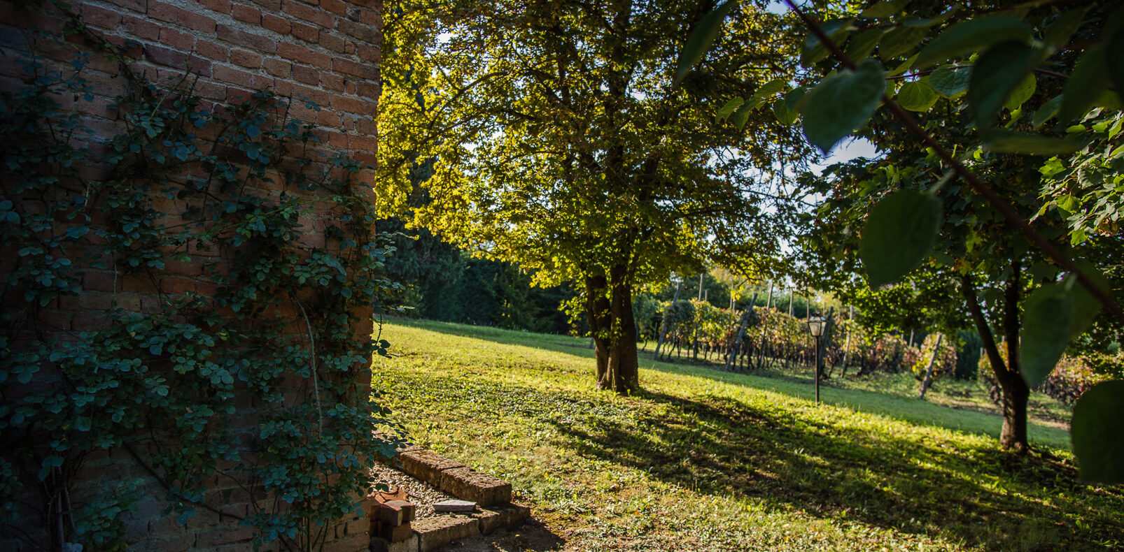 IMU sulla seconda casa nel Monferrato: calcolo, scadenze e come si paga