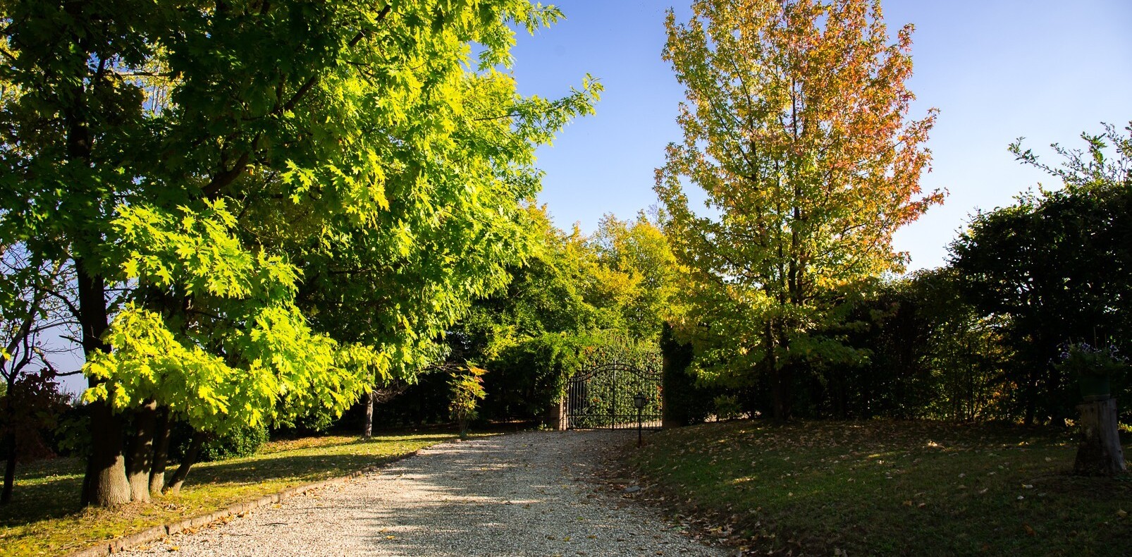 Sustainable Living in Monferrato: Eco-Friendly Property and Rural Life