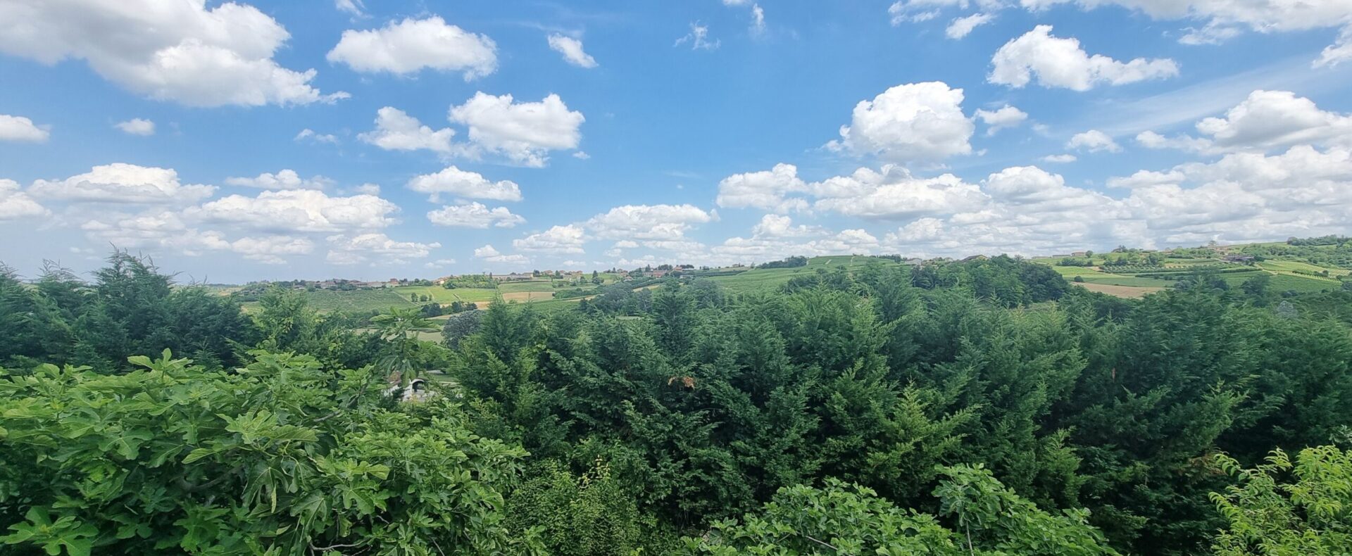 Monferrato Food Guide for Property Buyers: What You Will Eat and Where