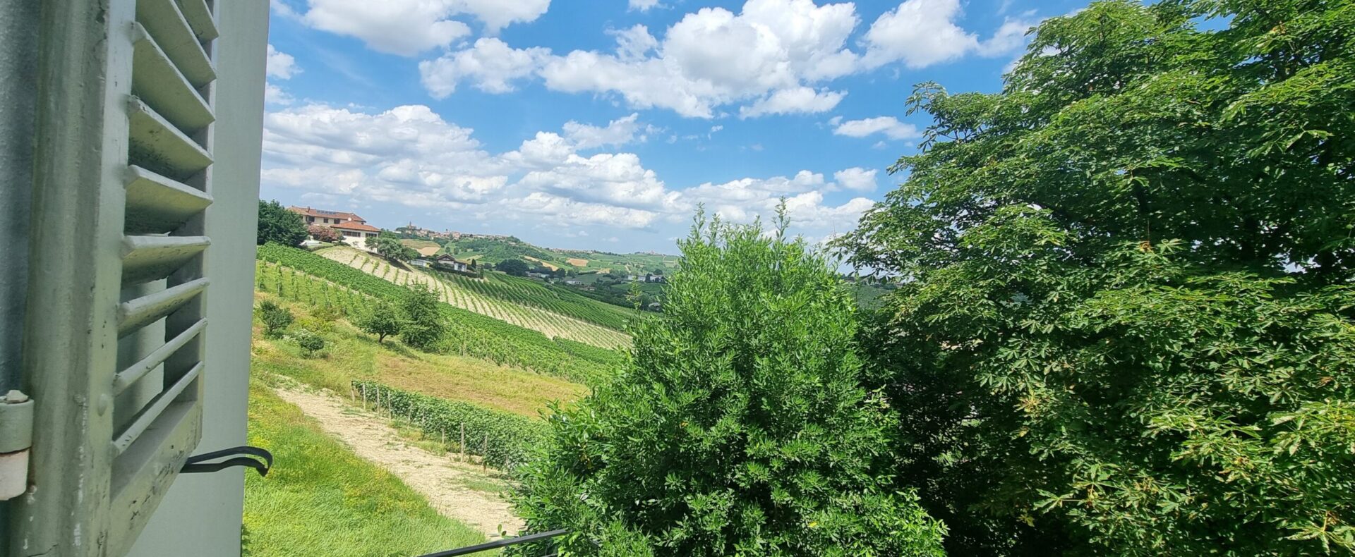 Internet e connettività nel Monferrato nel 2026: fibra, 4G e soluzioni