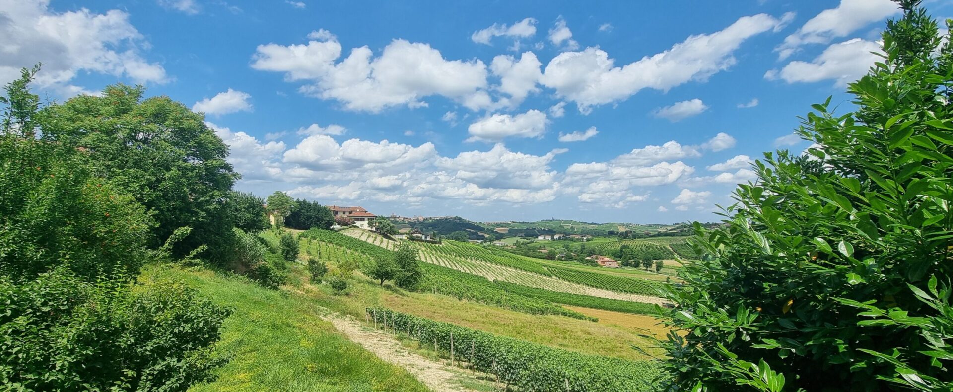 Costo della vita nel Monferrato: quanto costa davvero vivere qui