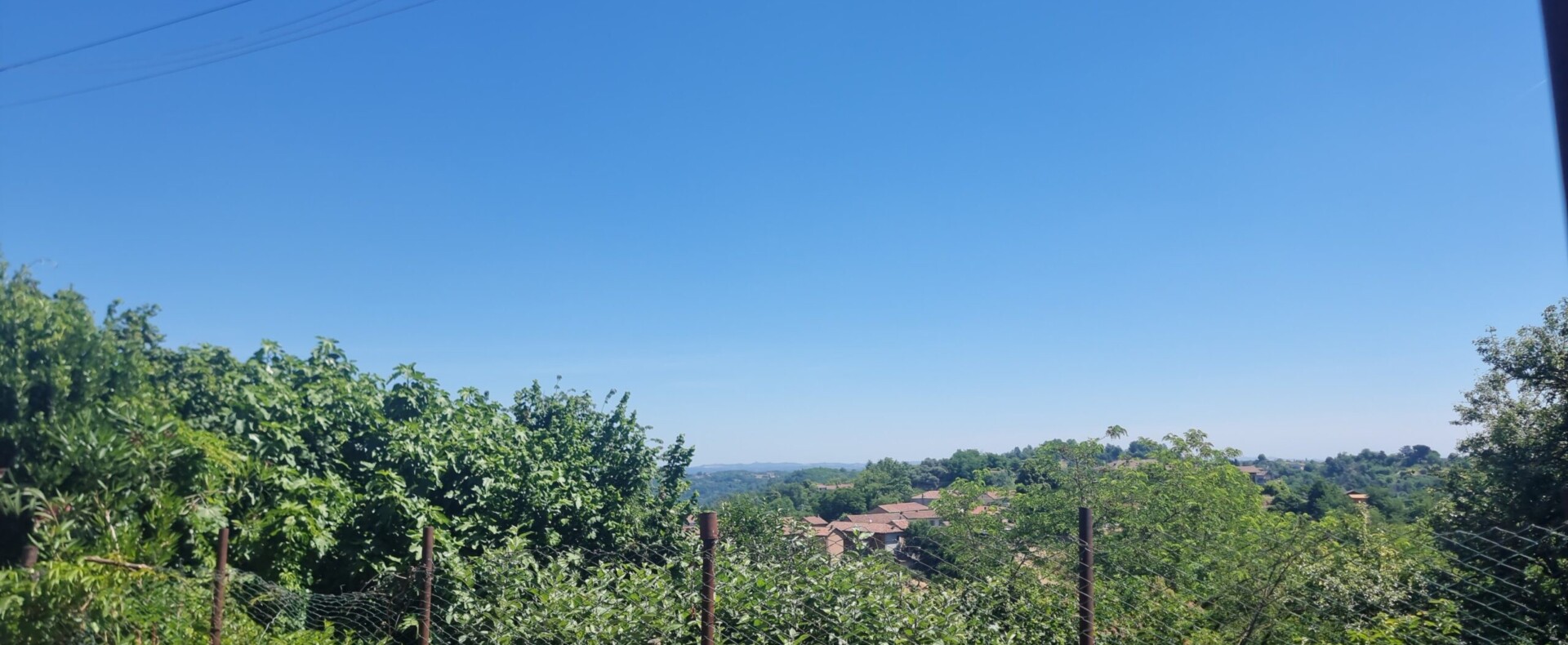 Buying Property in the Barbera Wine Region: Monferrato and Asti