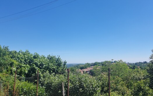 Buying Property in the Barbera Wine Region: Monferrato and Asti