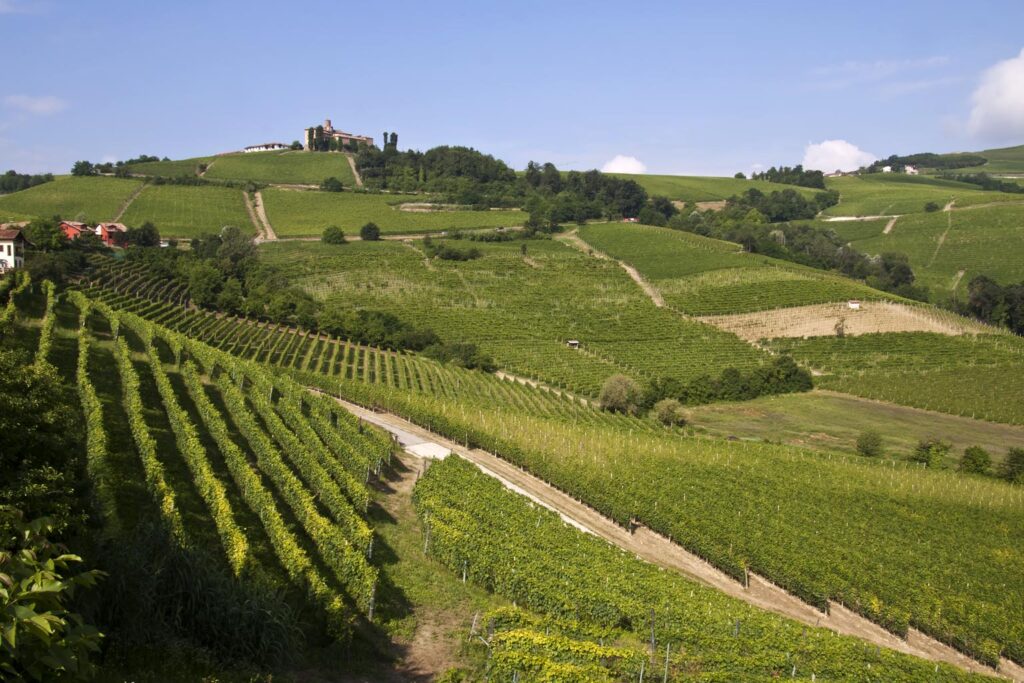 Il mare di colline delle Langhe
