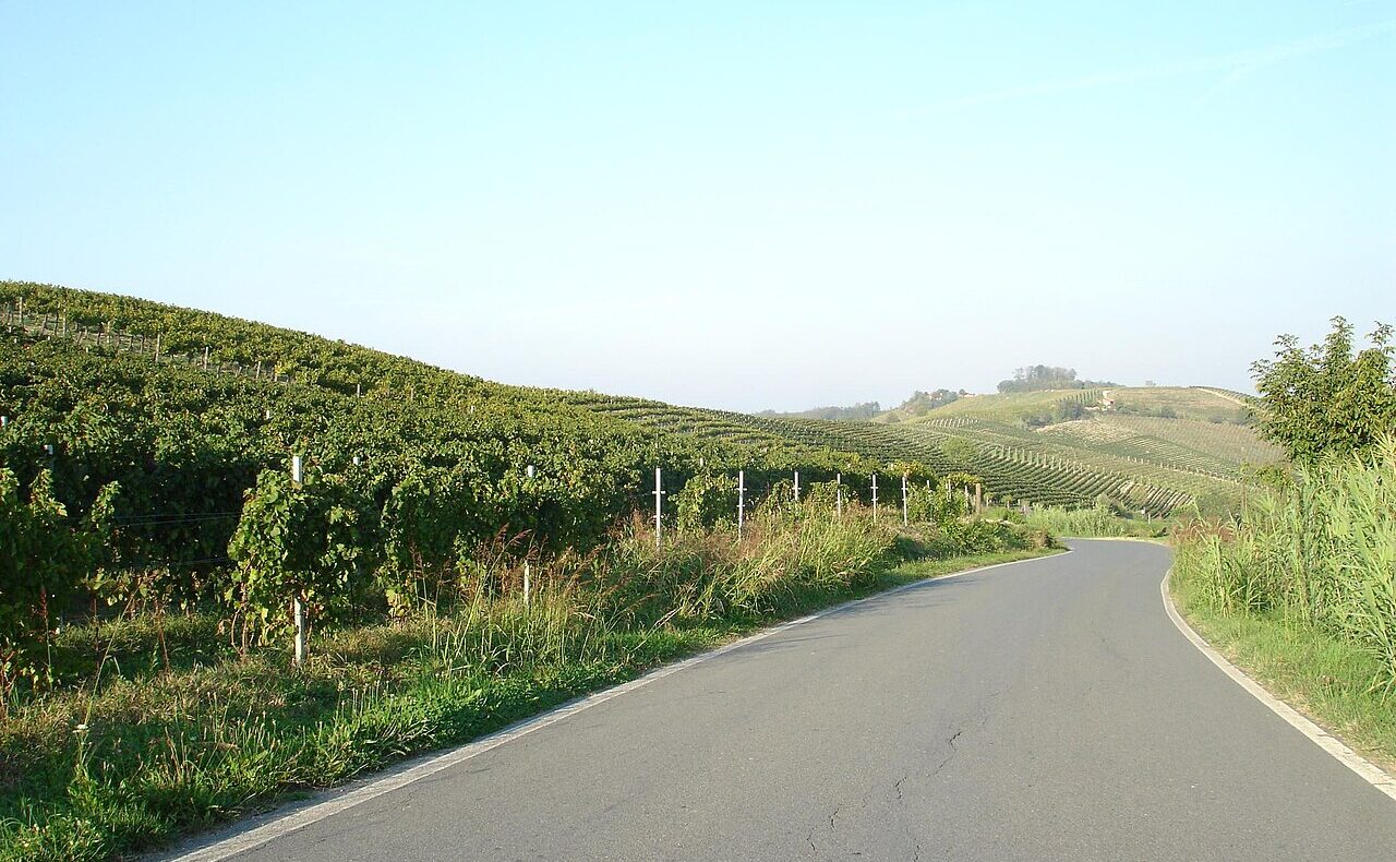 Case a Ricaldone: l’Alto Monferrato alessandrino tra Acqui e Ovada