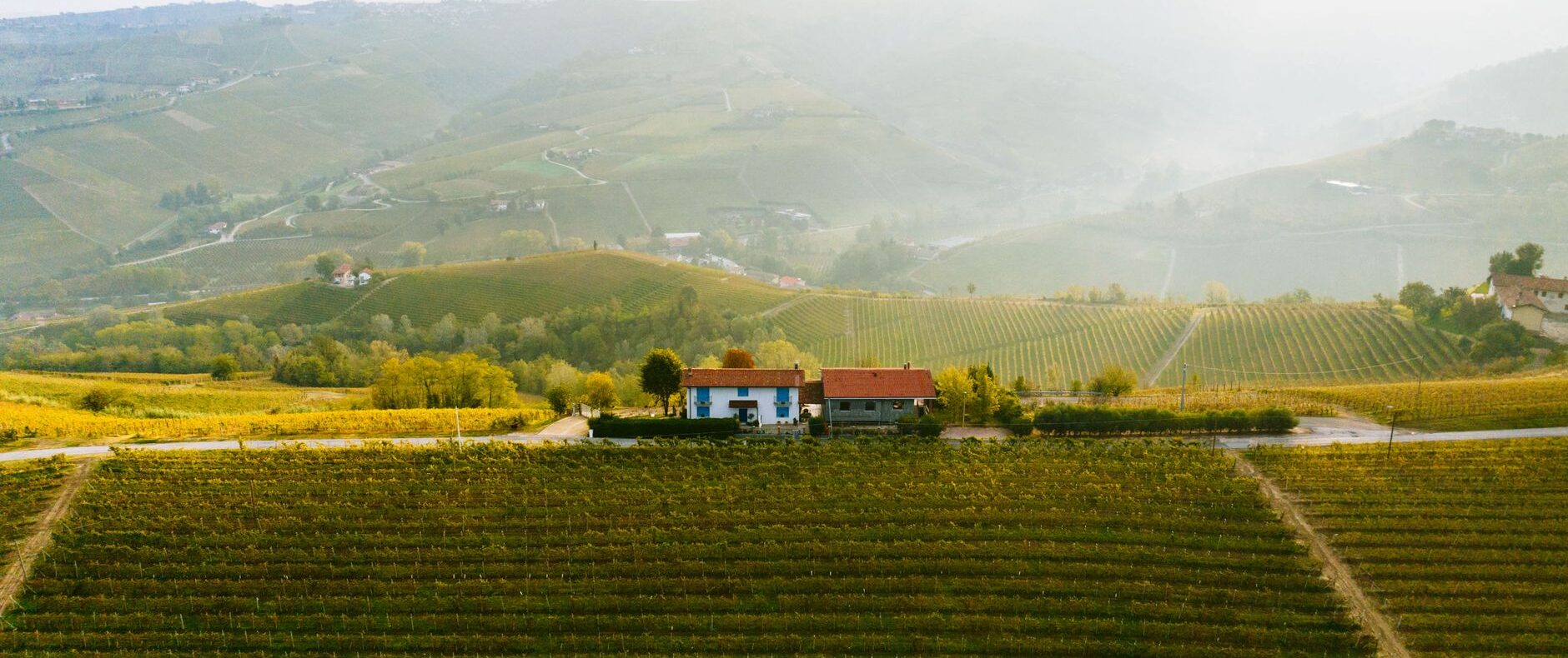 Grandi proprietà agricole nel Monferrato: tenute e aziende in vendita
