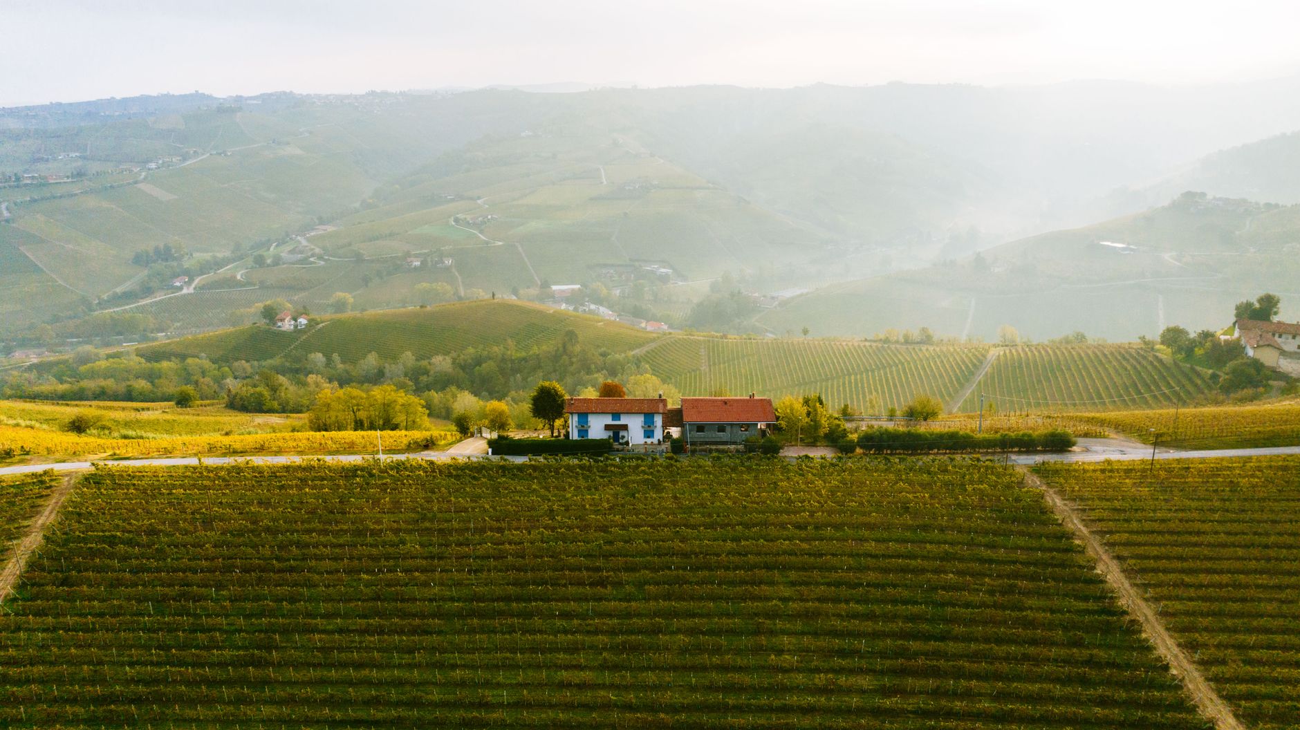 Nebbia mattutina sulle colline del Monferrato