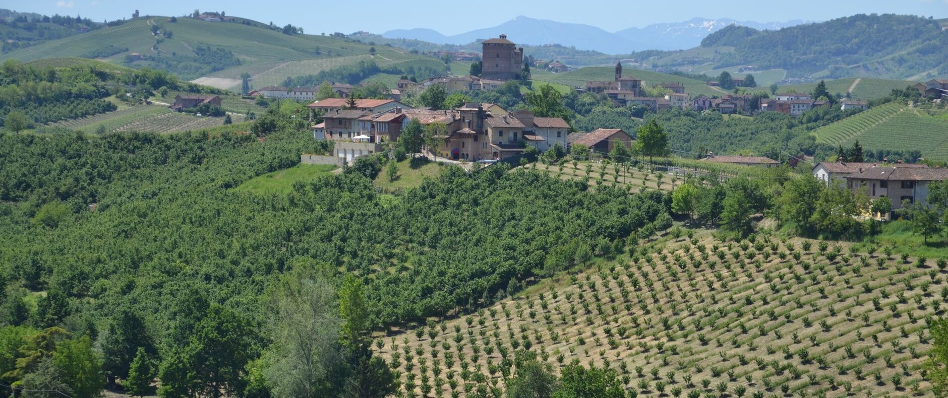 Proprietà con vigneto e residenza nel Monferrato: il pacchetto completo