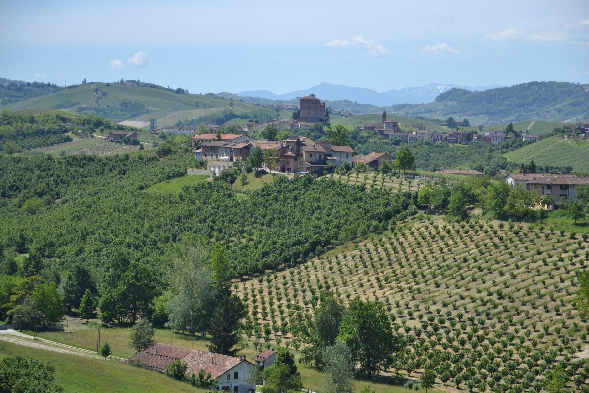 Borgo tra i vigneti del Monferrato