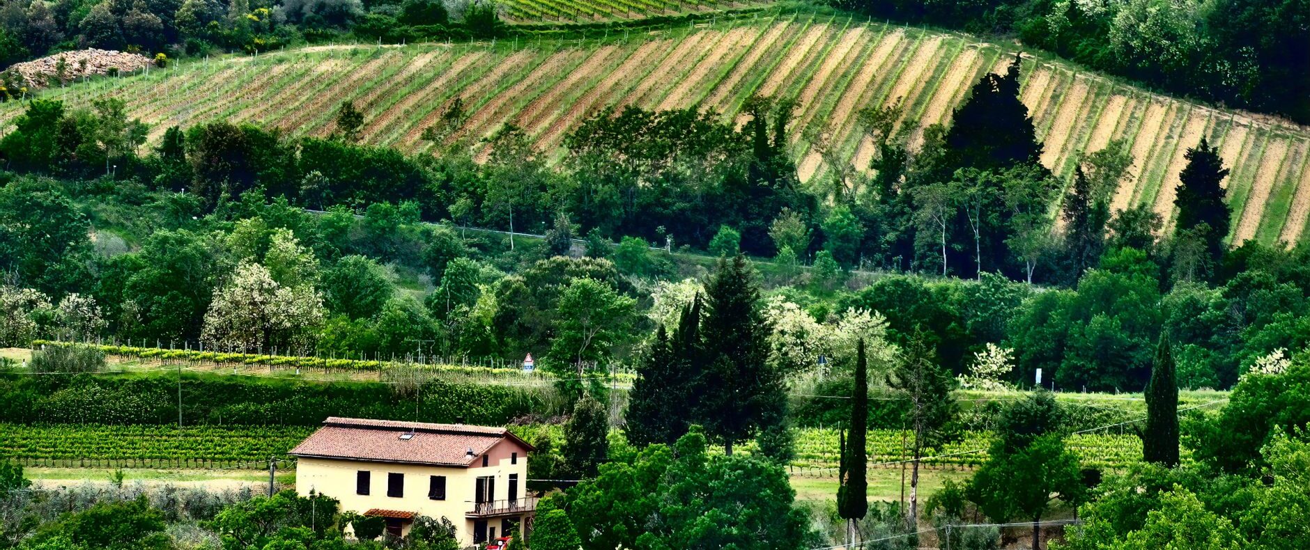 Agriturismo nel Monferrato: investimento, normativa e opportunità