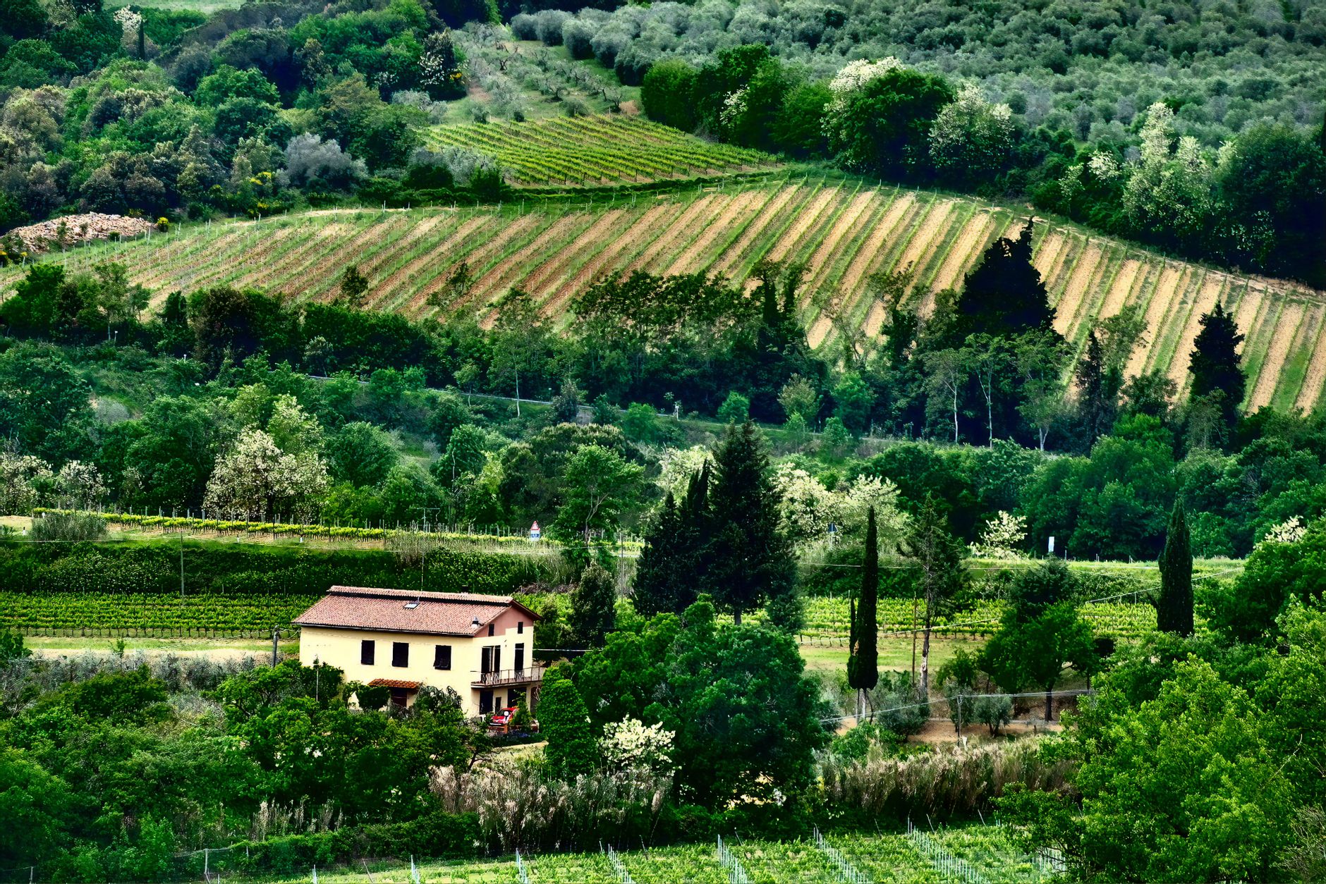 Agriturismo tra i vigneti del Monferrato