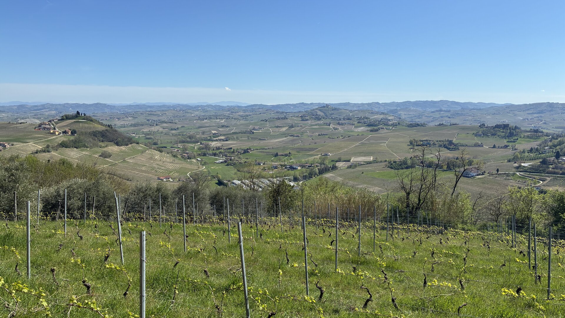 Vista panoramica delle colline del Monferrato da San Michele di Costigliole d'Asti