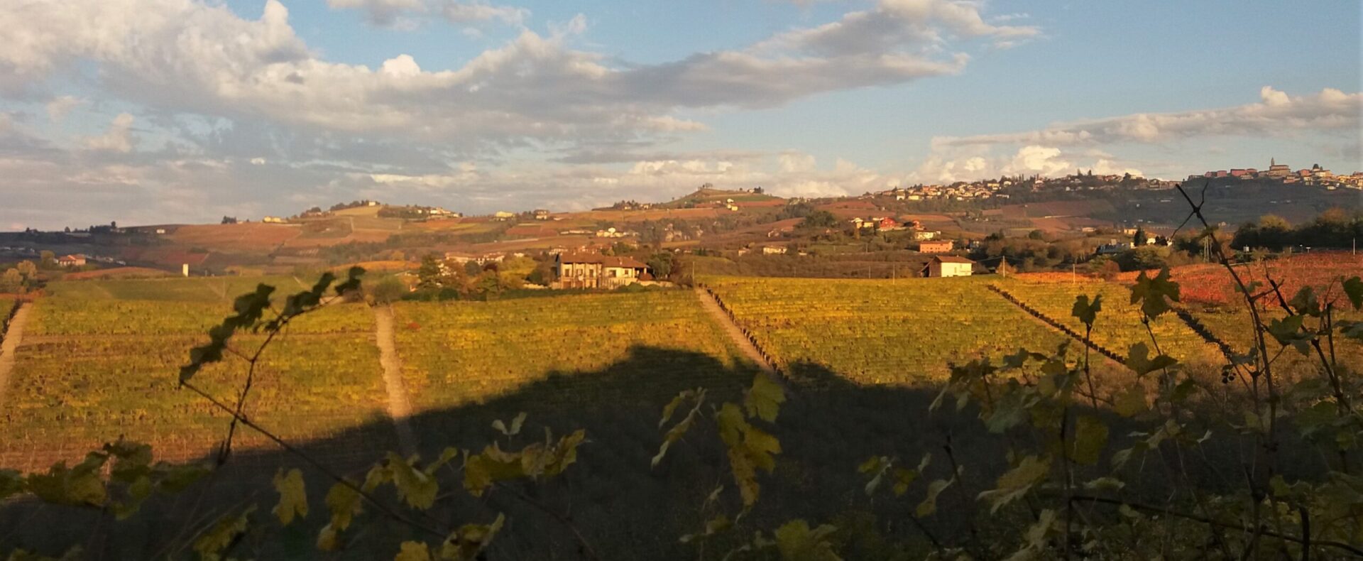 Real estate nel Monferrato: guida per chi arriva dall’estero