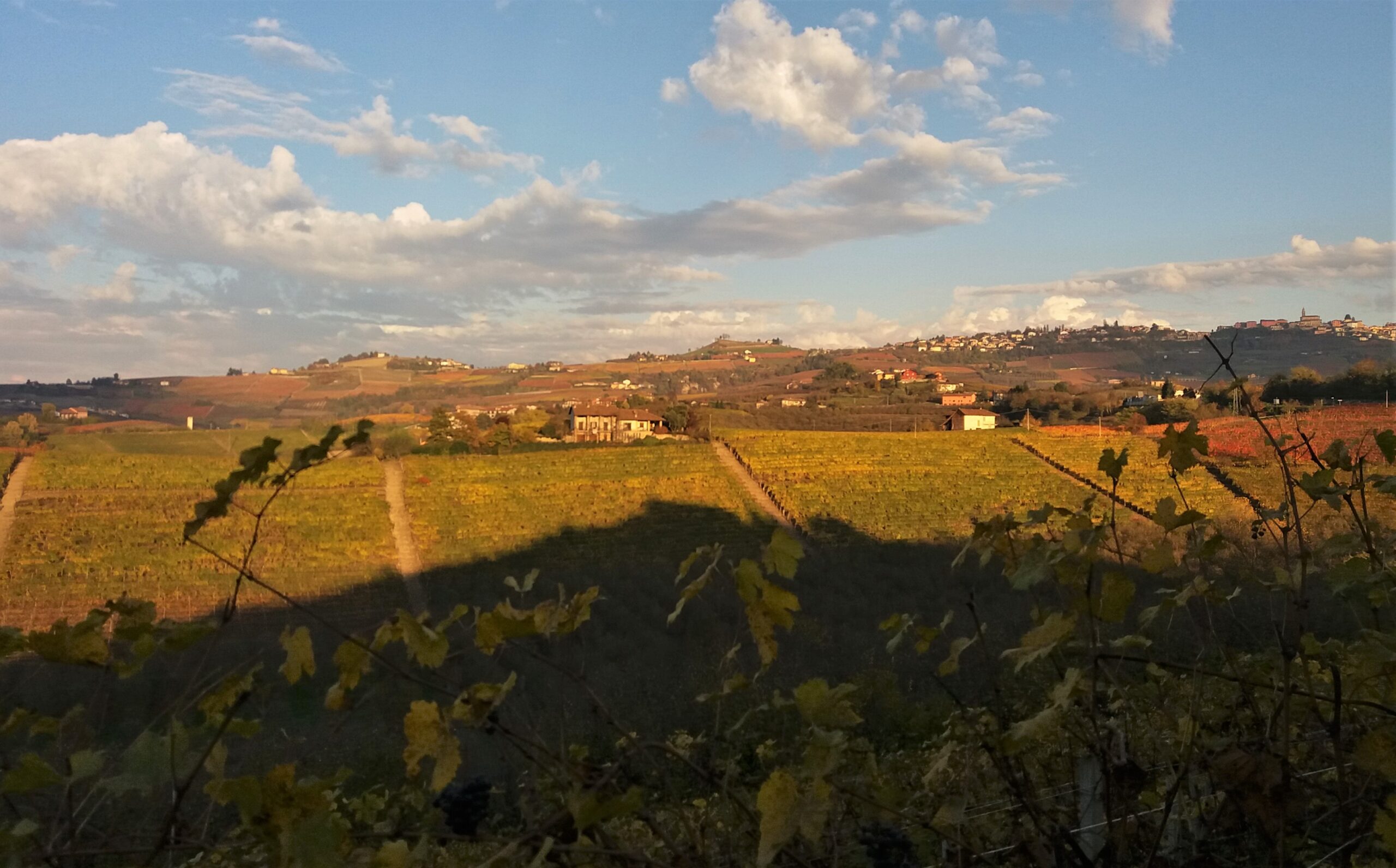 Le Langhe in autunno con i vigneti colorati e le colline sullo sfondo