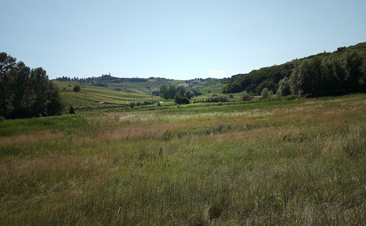 Tedeschi e olandesi nel Monferrato: perché scelgono queste colline